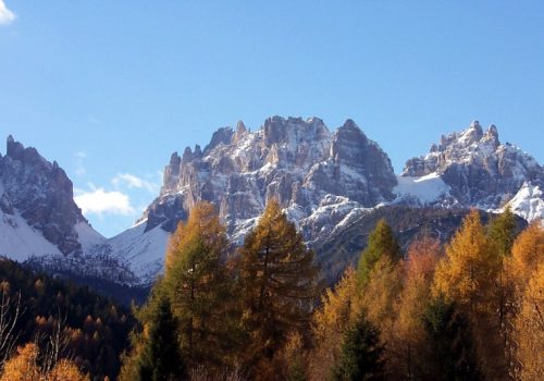 Archive Parc des Dolomites Frioulanes: Photographie de David Cappellari