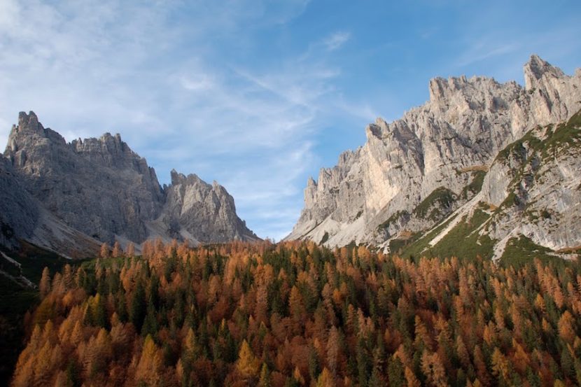 Forcella Giaf. Archive du Parc des Dolomites frioulanes. Photographie de David Cappellari
