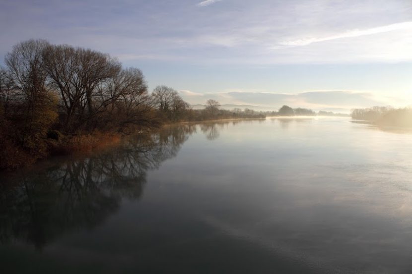 Isonzo. Archive de la R&eacute;serve Naturelle de l'Ile de la Cona. Photographie de Matteo De Luca et Silvano Candotto.