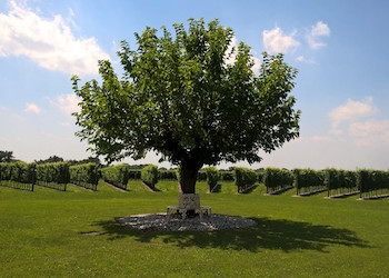 I Magredi | Photographie de I Magredi