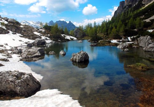 Archive du Parc des Dolomites Frioulanes: Photographie de Romeo Pignat