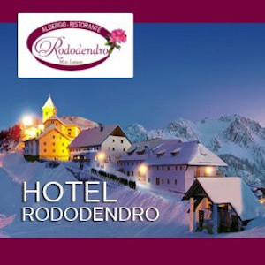 hotel_rododendro_logo