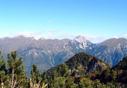 Monte Plauris visto da sud, Venzone